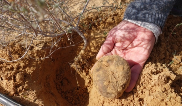 264155818_316476496996229_1595474370206360765_n